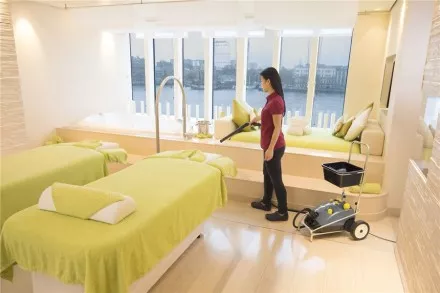 Пароочиститель KARCHER SG 4/4 профи купить в Тюмени