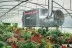 Подвесной дизельный теплогенератор BALLU FARM 90 M oil купить в Тюмени