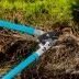 Сучкорез прямого реза Palisad 60597, 750 мм, двухрычажный механизм, двухкомпонентные рукоятки, LUXE купить в Тюмени