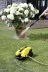 Минимойка-мойка высокого давления KARCHER K 4 Silent (1.637-355.0) купить в Тюмени