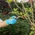 Нож садовый складной Palisad, прямое лезвие, 173 мм, деревянная рукоятка, 790038 купить в Тюмени