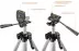 Нивелиры лазерные Крест-3D 360 3 перпендикулярные плоскости со штативом серия ПРОФЕССИОНАЛ купить в Тюмени