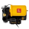 Насосная станция Denzel PS500C, 500 Вт, напор 35 м, 2200 л/ч, ресивер 2 л, блок управления 97249 купить в Тюмени