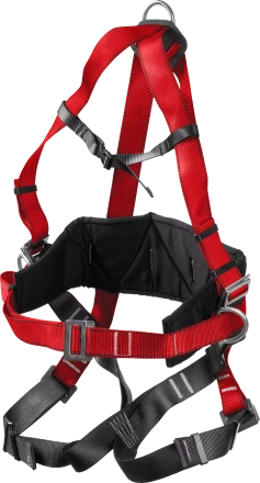 Удерживающая привязь 3 точки крепления серия Без серии купить в Тюмени