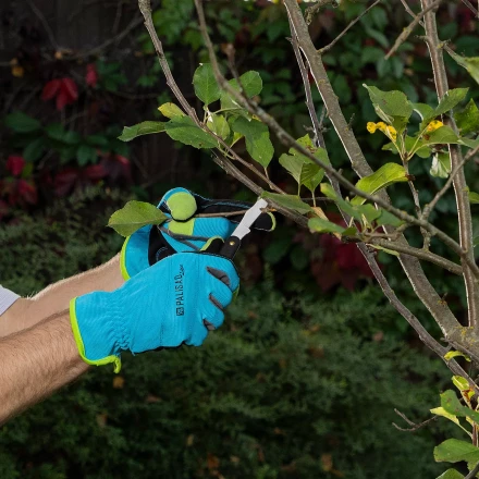 Нож садовый Palisad, 165 мм, складной, окулировочный, пластиковая рукоятка, 790547 купить в Тюмени