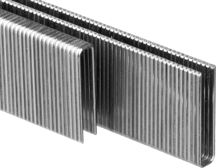 Скобы тип 55, 25 мм, особотвердые, ЗУБР &quot;ПРОФЕССИОНАЛ&quot; 31855-25, 2500 шт 31855-25 купить в Тюмени