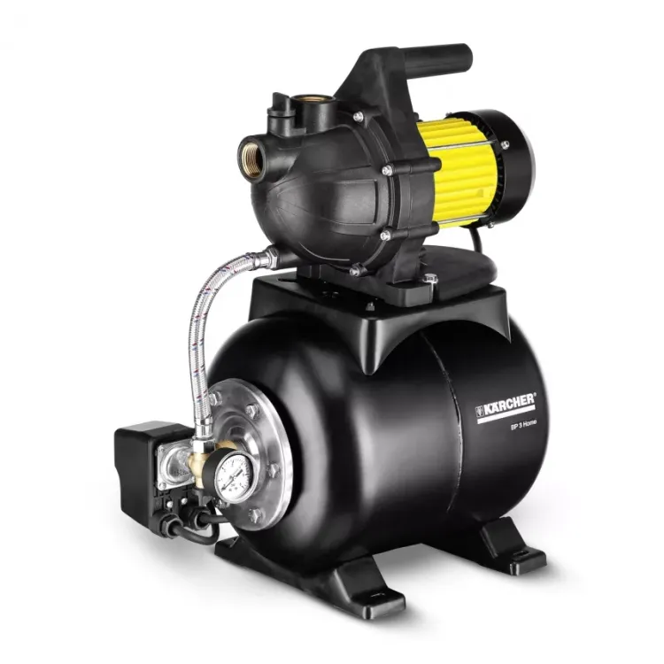 Поверхностный насос KARCHER BP 3 Home купить в Тюмени