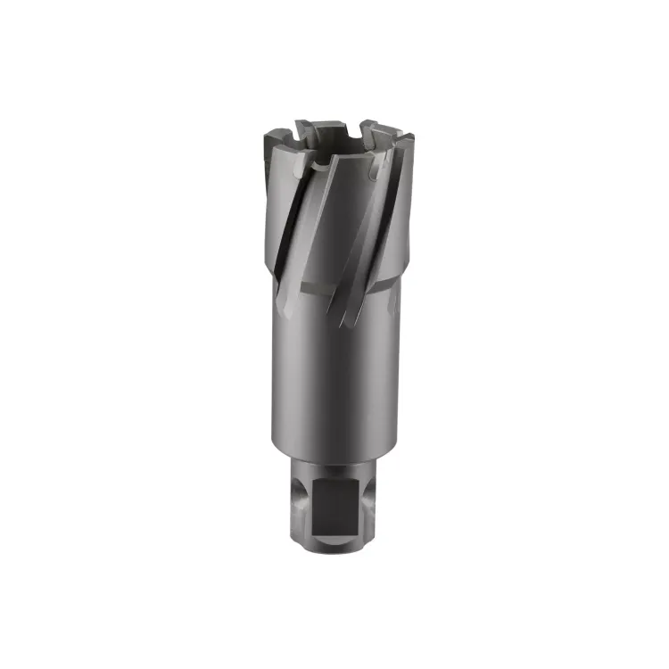 Сверло корончатое твердосплавное ALTECO TCT 35х50 82794 купить в Тюмени