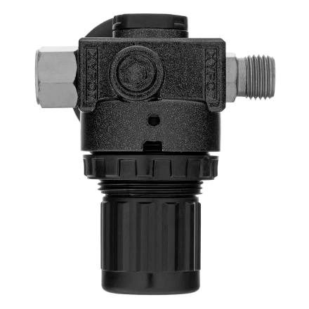 Регулятор давления с манометром Denzel R1500, 12 бар, 1/4&quot;, 57491 купить в Тюмени