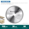 Диск пильный PRECISION, повышенный ресурс 36952-250-30 купить в Тюмени