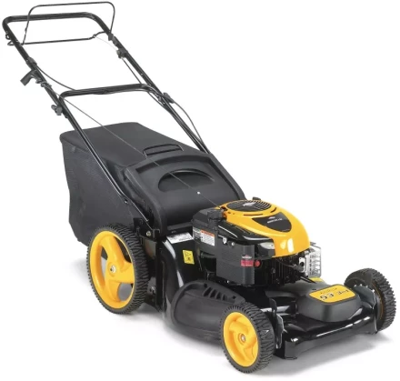 Бензиновая газонокосилка Partner P53-625DW купить в Тюмени