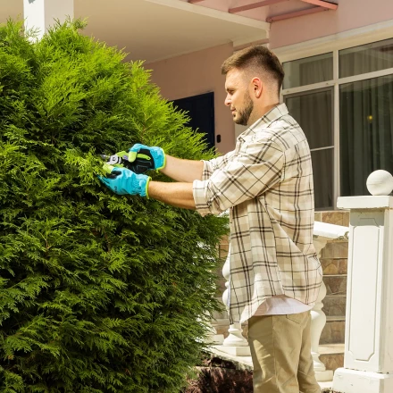 Секатор прямого реза Palisad, 190 мм, пластиковые рукоятки, 60456 купить в Тюмени