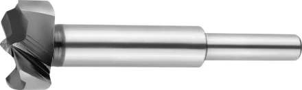 Сверло Форстнера по дереву, URAGAN 29995-25, d=25мм 29995-25 купить в Тюмени