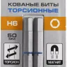 ЗУБР Hex 6, 50 мм, 2 шт, торсионные биты, Профессионал (26017-6-50-2) купить в Тюмени