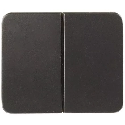 Выключатель СВЕТОЗАР &quot;ГАММА&quot; двухклавишный, без вставки и рамки, цвет темно-серый металлик, 10A/~250B SV-54134-DM купить в Тюмени