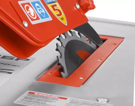 Станок распиловочный ЗПДС-200-800 серия МАСТЕР купить в Тюмени