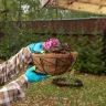 Кашпо подвесное с орнаментом Palisad, с кокосовой корзиной, диаметр 30 см, 690048 купить в Тюмени