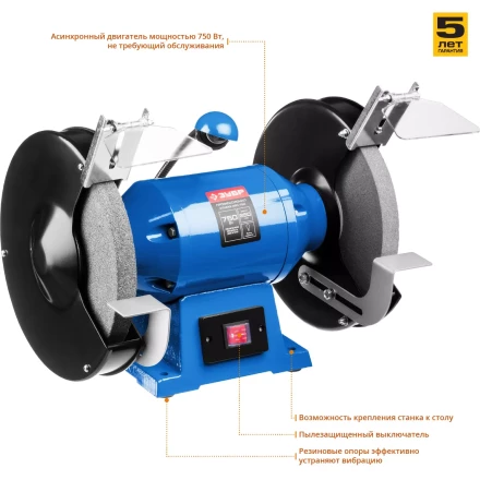 Точило с фонарем ЗТШМЭ-250-750 серия ПРОФЕССИОНАЛ купить в Тюмени