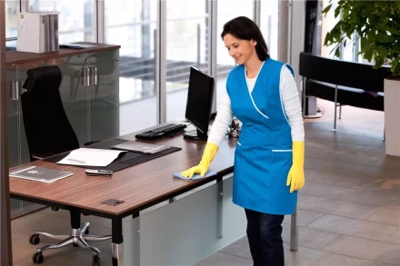 Средство для чистки поверхностей CA 30 C 1 л KARCHER купить в Тюмени