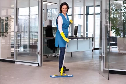 Средство для чистки поверхностей CA 30 C 1 л KARCHER купить в Тюмени