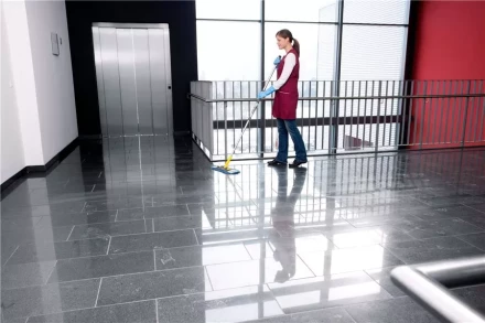 Средство для чистки поверхностей CA 30 C 1 л KARCHER купить в Тюмени