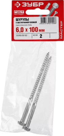 Шурупы ЗУБР &quot;МАСТЕР&quot; с шестигранной головкой, оцинкованные, 6x100мм, 2шт 300456-06-100 купить в Тюмени