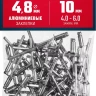 ЗУБР 4.8 x 10 мм, 50 шт, алюминиевые заклепки, Профессионал (313106-48-10) купить в Тюмени