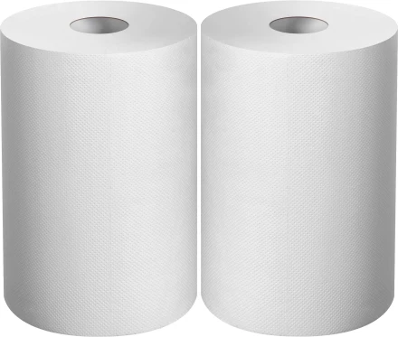 ЗУБР 20 х 25 см, 2-х слойная, в рулоне, 400 листов, 2 рулона, протирочная бумага, Профессионал (12822-20) купить в Тюмени