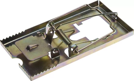 Мышеловка STAYER "MASTER", металлическое основание, средняя 40490-M купить в Тюмени