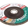 Круг Лепестковый Торцевой (КЛТ) HAMMER КЛТ 1 Ф180х22 Р40 213-030 купить в Тюмени