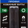 ЗУБР TX 40, 50 мм, 2 шт, ударные биты, Профессионал (26025-40-50-S2) купить в Тюмени