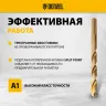 Набор сверл по металлу Denzel 723008, 1-10 мм, Р6М5К8-TiN, Golden Tip, 19 шт купить в Тюмени
